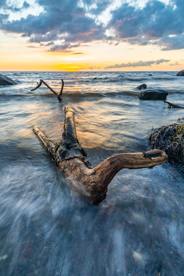 Décryptage : les différents types de poêles et leurs usages